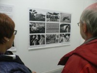 1999-2019-exhibition-120
