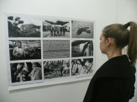 1999-2019-exhibition-124