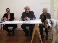giuseppe-torre-contest-11